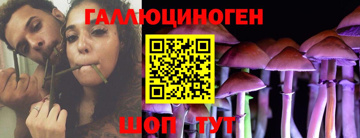 Сокол  Псилоцибиновые грибы ЛСД  Вход с VPN 