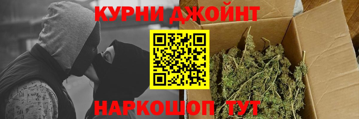 Канабис SATIVA & INDICA Сокол